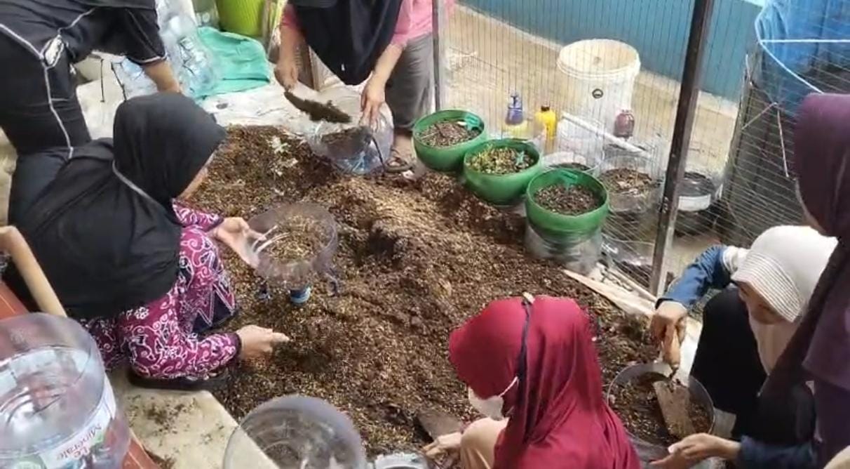 Persiapan Penanaman Bibit