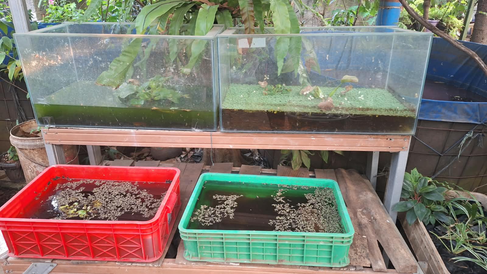 Silaturahmi & Diskusi Kegiatan