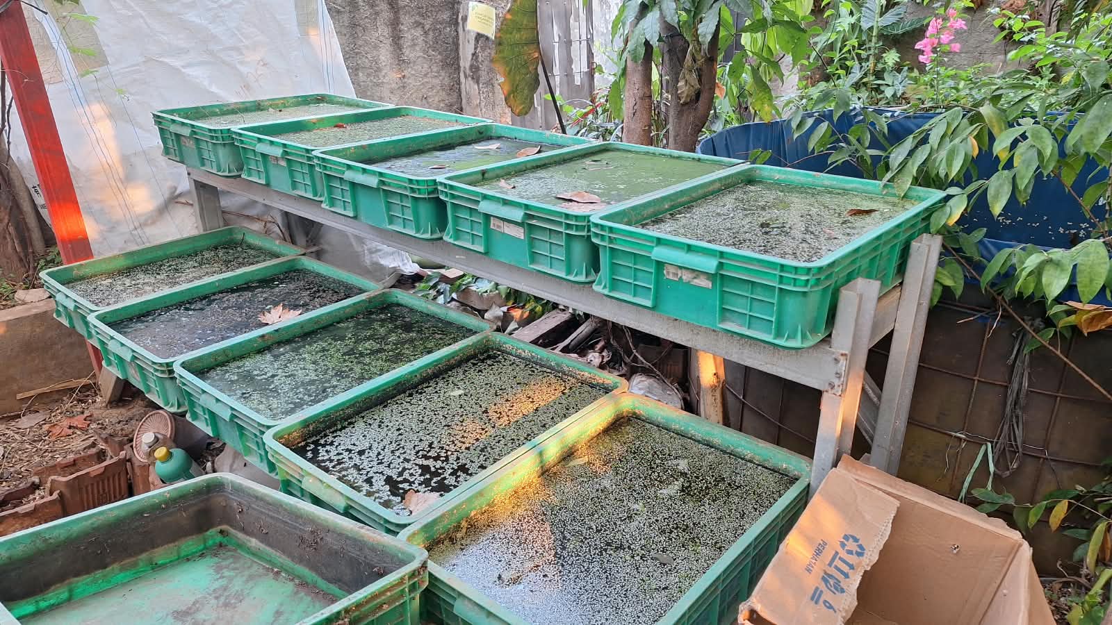 Silaturahmi & Diskusi Kegiatan