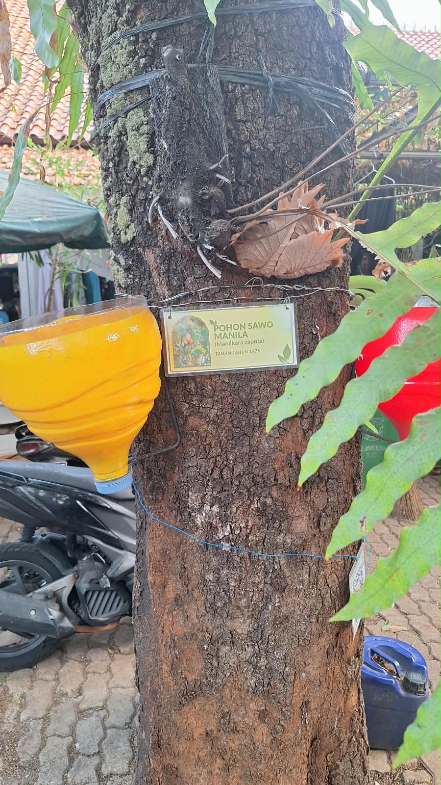 Silaturahmi & Diskusi Kegiatan